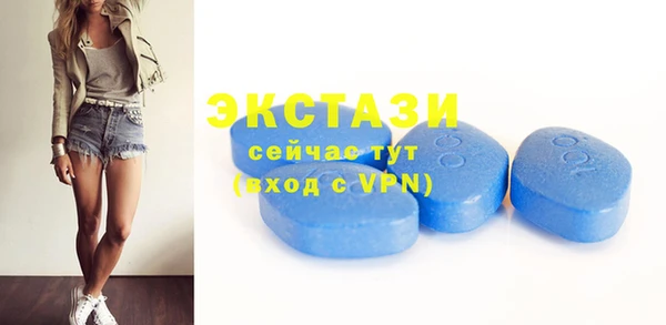 ECSTASY Богородицк