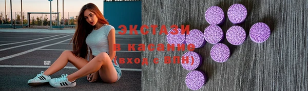 ECSTASY Богородицк